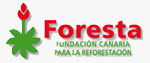 Foresta